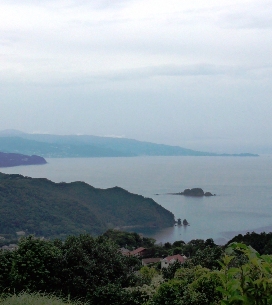 「ケーススタディ（政策形成ワークショップ）」に参加して