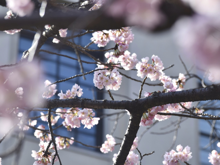 Information for Prospective Students