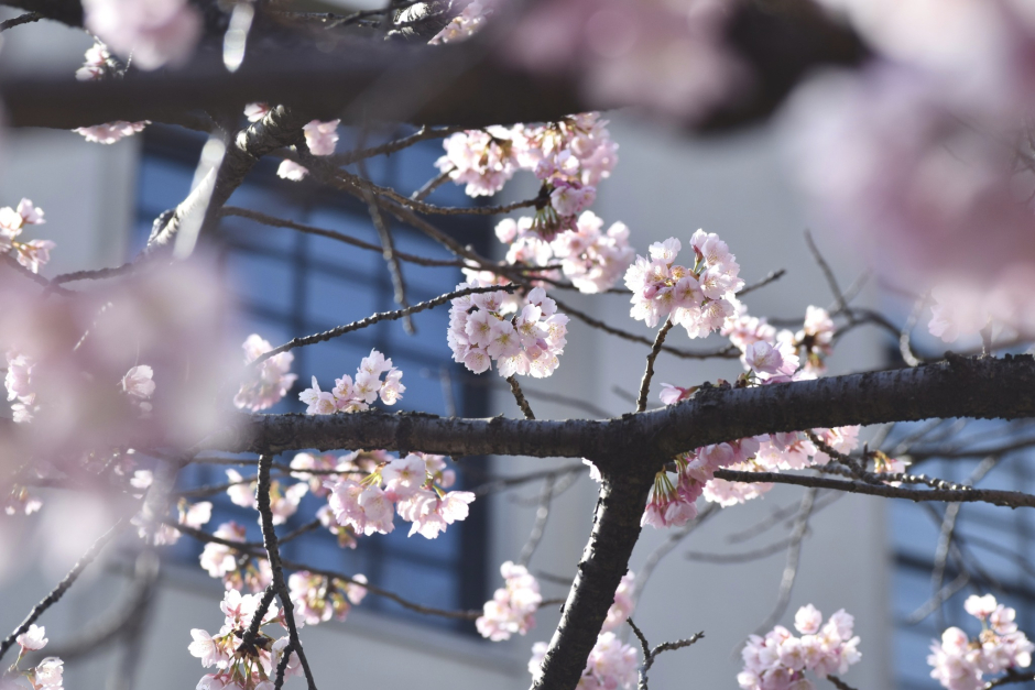 【新入生】2026年度春学期 当研究科にご入学予定の方へ