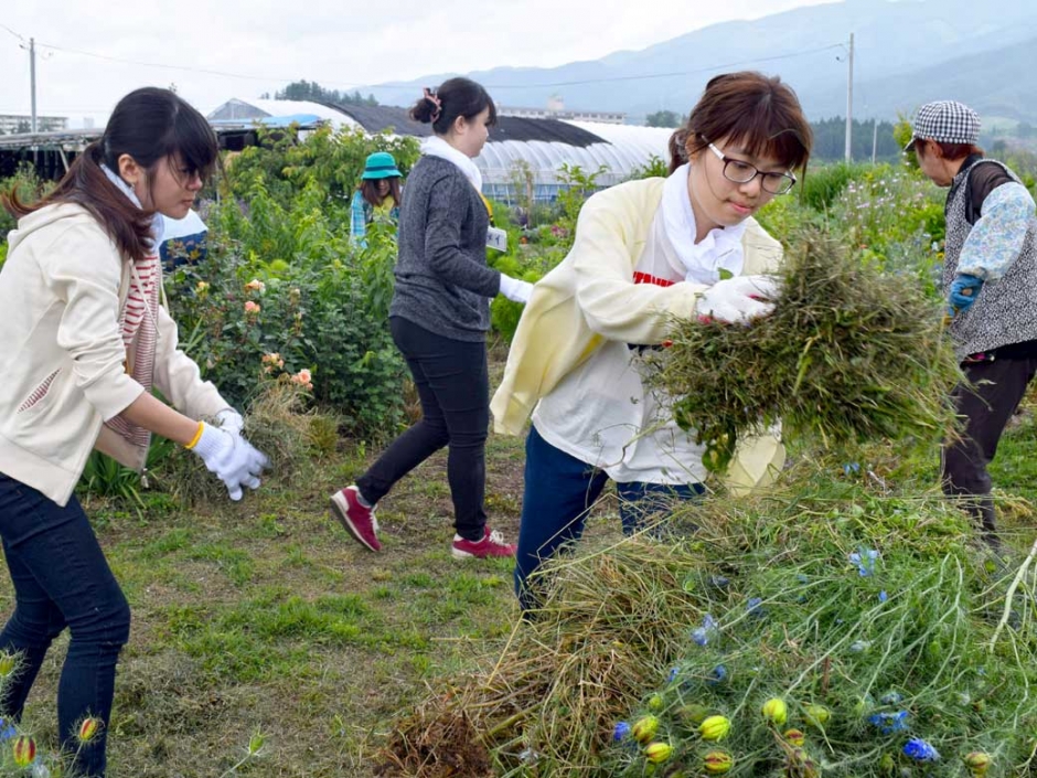 SPSE have held volunteer activities and learning about disaster in AFLP Seminar