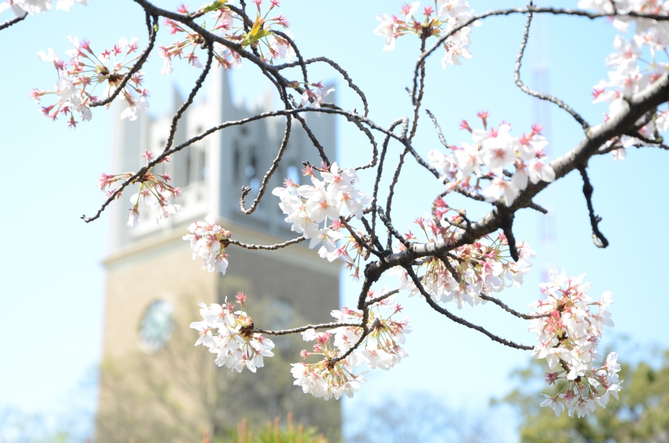 2023年度政治経済学部入学式のご案内（4月1日(土)12:30開始）