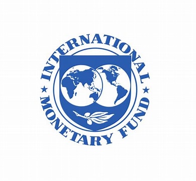 【現政研セミナー】11月19日(水)17時～　　”国際通貨基金（IMF）説明会”／(WINPEC seminar) 11/19（Wed）17:00 ～　”International Monetary Fund Seminar”