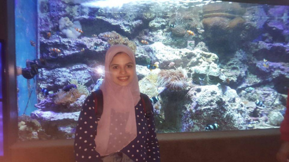 Student Voice: ALOUSH Nourhan Abdelbary Abdallah Mohamed