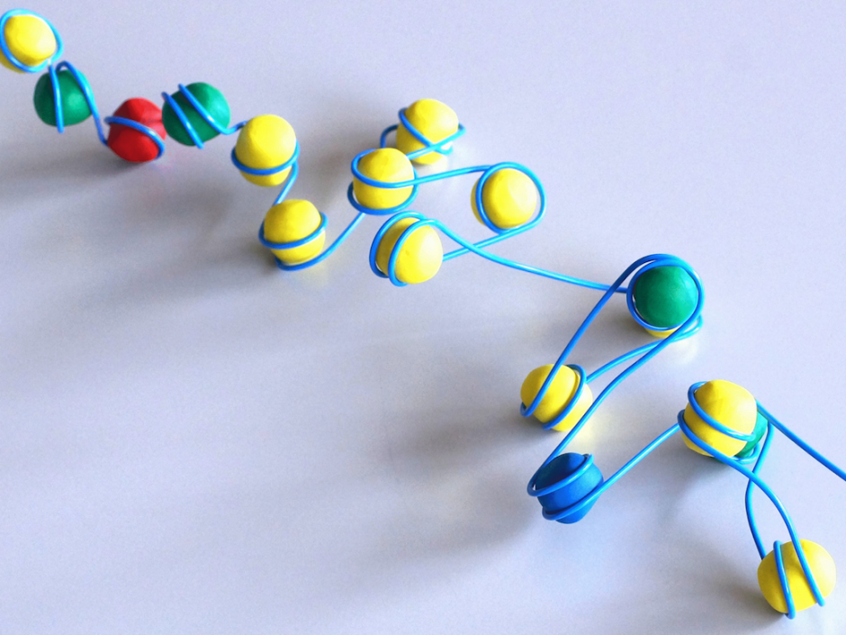 遺伝子のすがた カラダの中でおこる不思議 （2016/8/21）