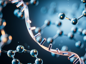 分子の「混ざり方」と「過去の状態」が振る舞いを左右