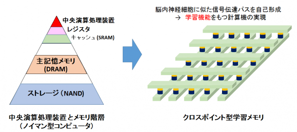 Ohsawa research img