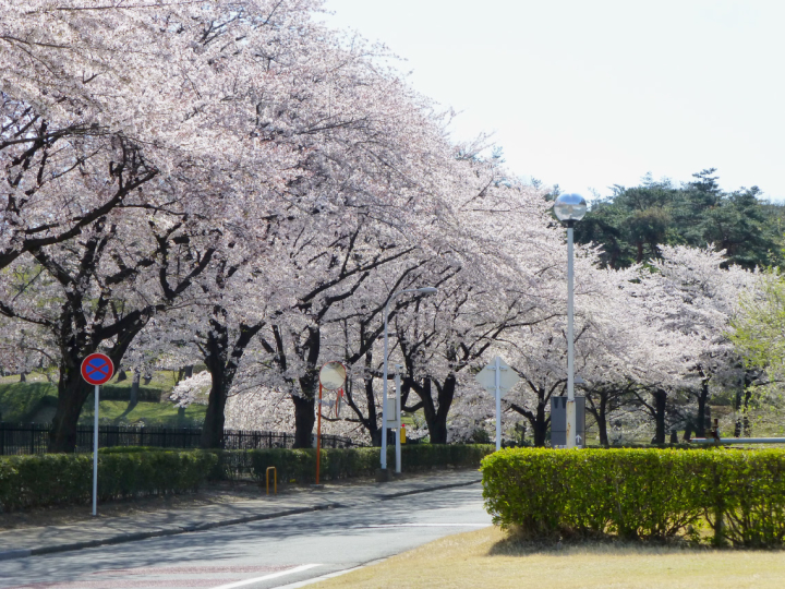 入試要項・様式