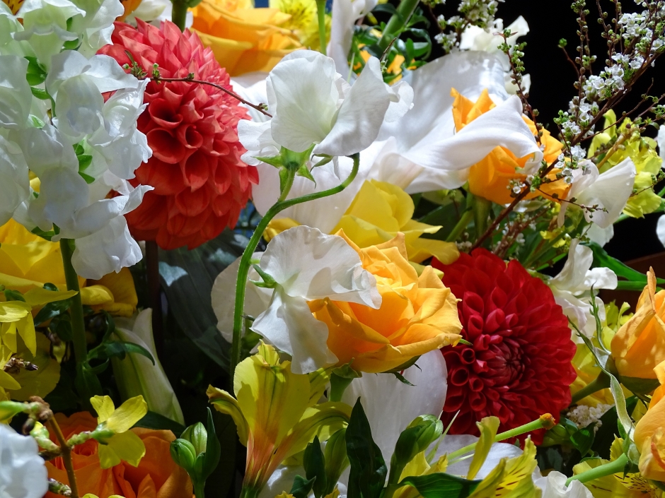 学位授与式2016年3月24日（木）