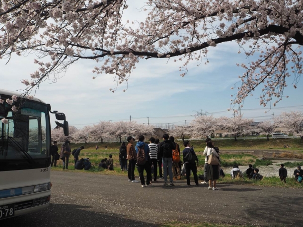 千本桜到着