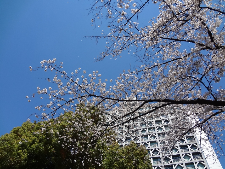 2019年度　始業式・ガイダンス