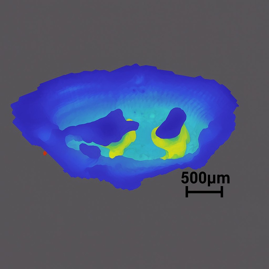 芹田和則准教授らの研究グループ、テラヘルツ波による内耳観察技術で世界初の成果