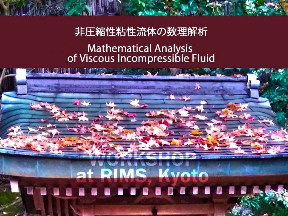 Report on “Mathematical Analysis in Fluid and Gas Dynamics”