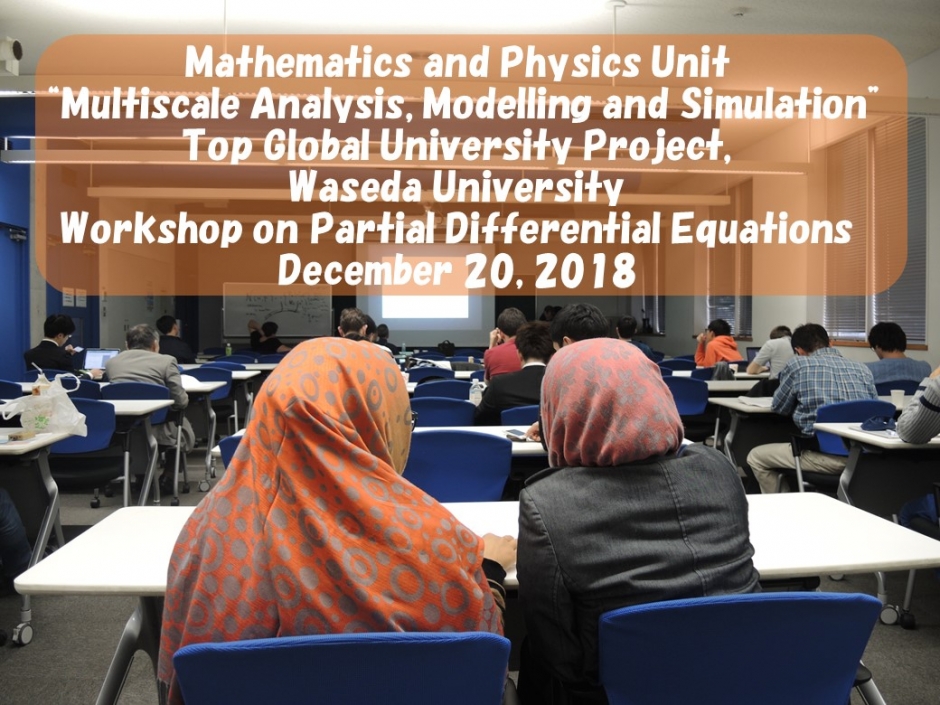 ワークショップ「Waseda Workshop on Partial Differential Equations」開催報告