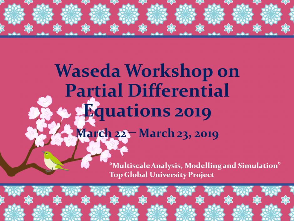 Waseda Workshop on Partial Differential Equations 2019
