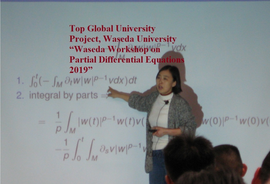 ワークショップ「“Waseda Workshop on Partial Differential Equations 2019”」開催報告