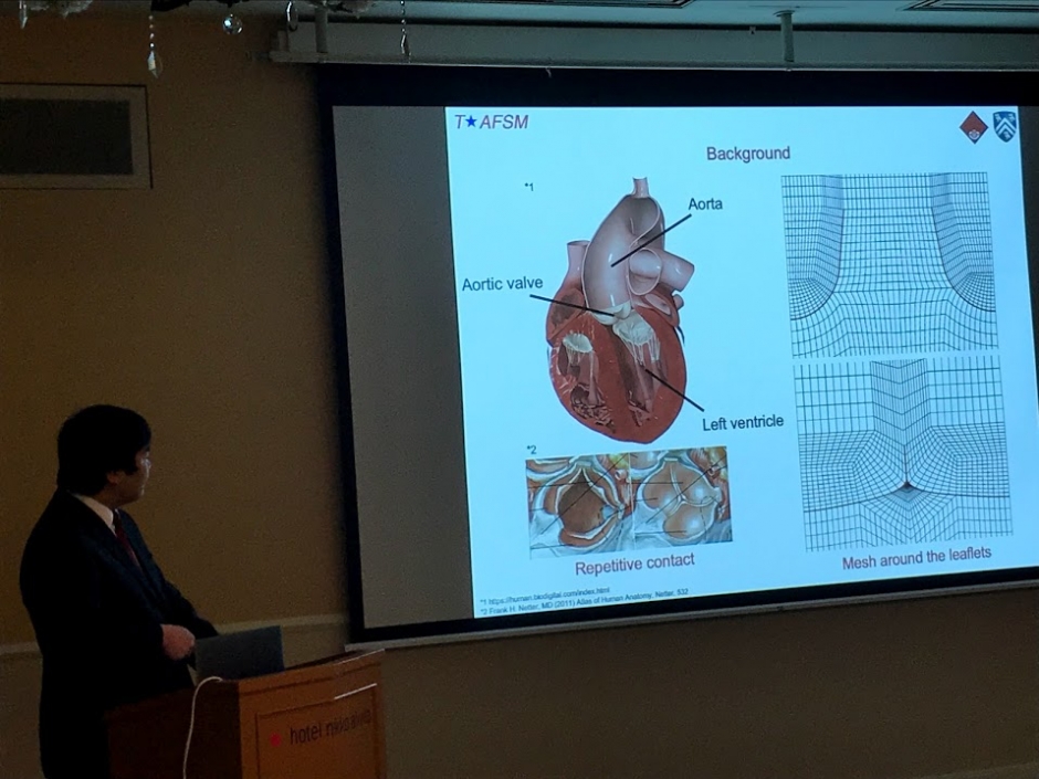 Report on Workshop “Advances in Computational Fluid—Structure Interaction and Flow Simulation”