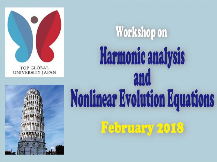 Workshop on Harmonic analysis and Nonlinear Evolution Equations