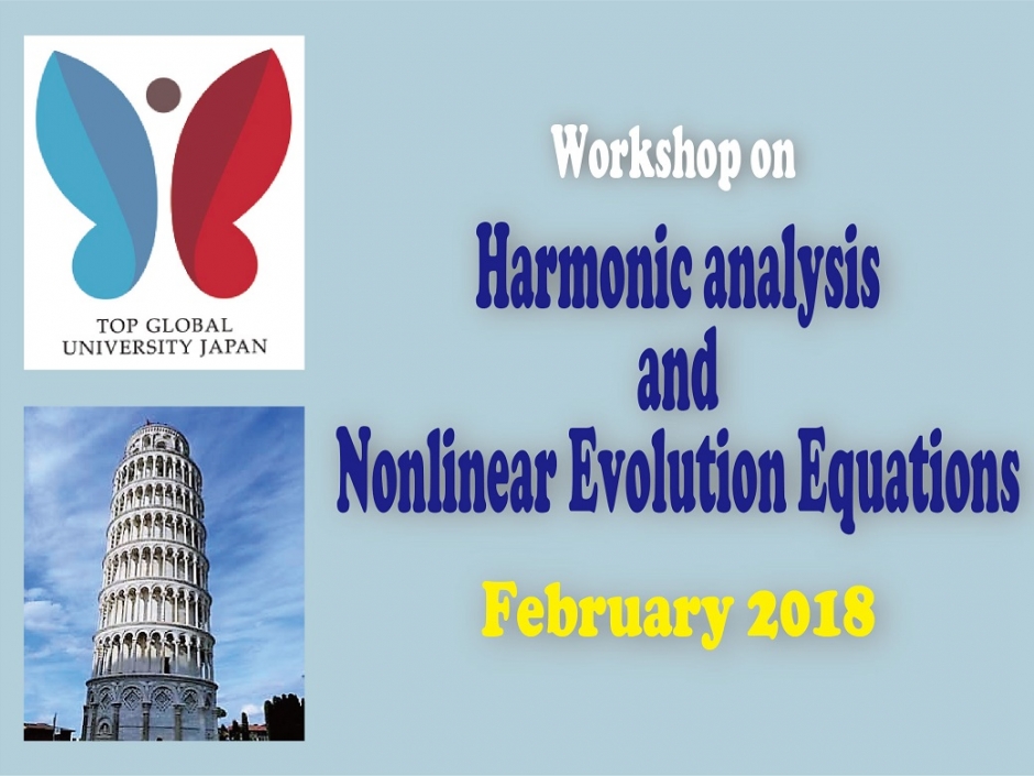 Workshop on Harmonic analysis and Nonlinear Evolution Equations