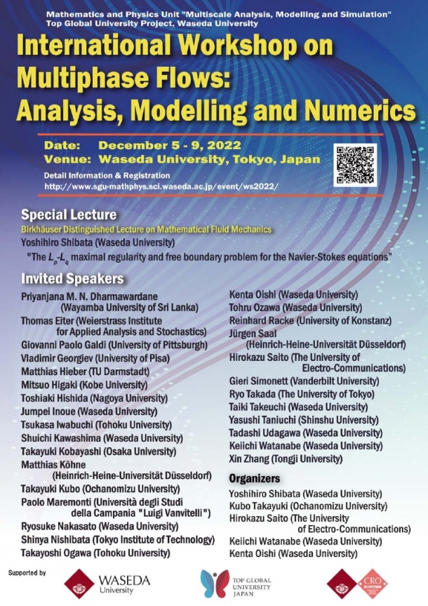 International Workshop on Multiphase Flows: Analysis, Modelling and ...