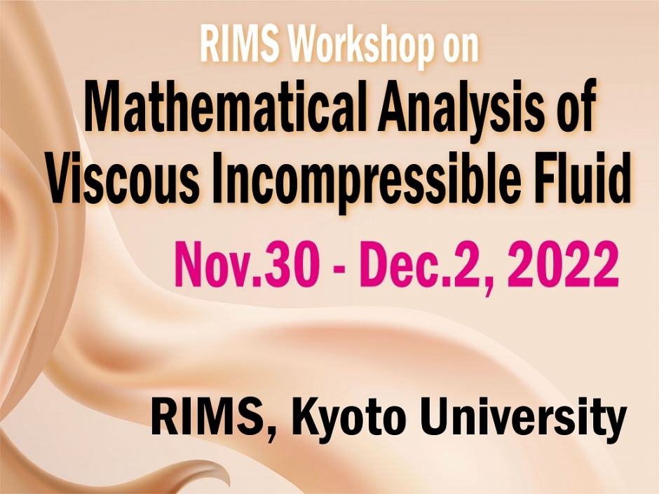 RIMSワークショップ「非圧縮性粘性流体の数理解析」