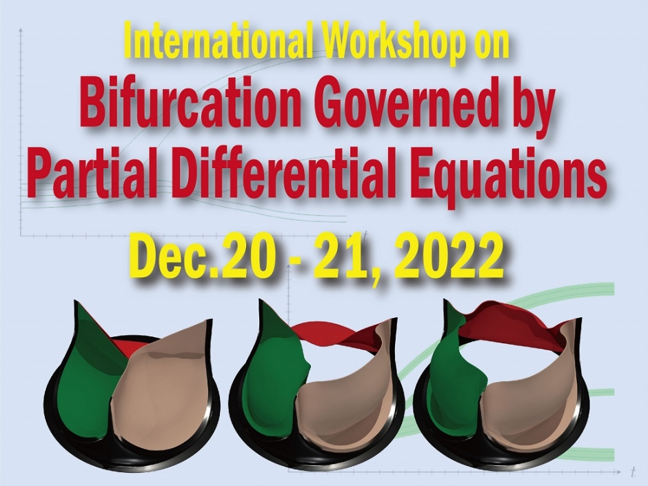 開催報告「International Workshop on Bifurcation Governed by Partial Differential Equations」