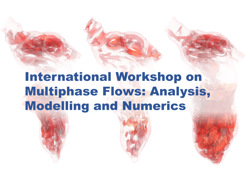 2025年度「International Workshop on Multiphase Flows: Analysis, Modelling and Numerics」の開催