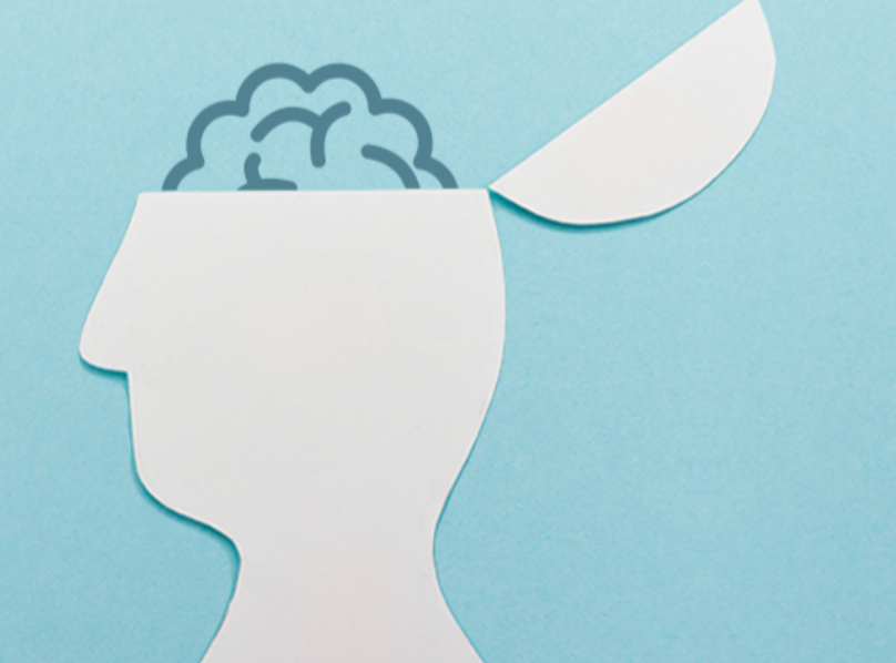 酒井　弘教授出演　NHK BSプレミアム「ヒューマニエンス」