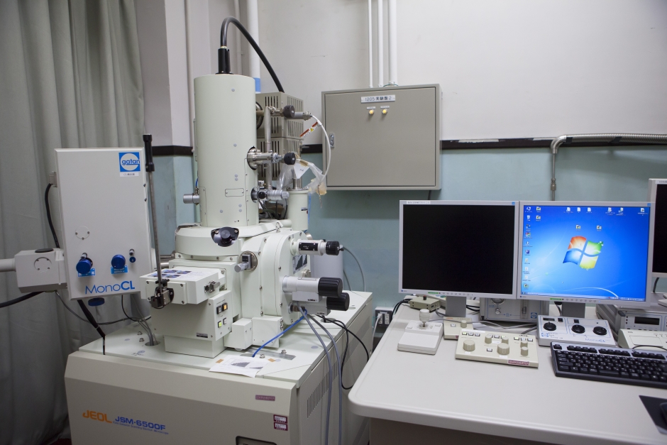 電界放出形走査電子顕微鏡