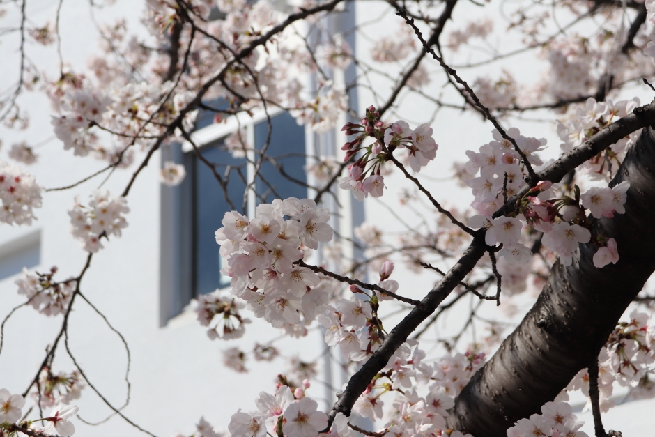 〔各種案内〕　材料技術研究所利用説明会開催のお知らせ（3月 28日（木）～3月 29日（金））