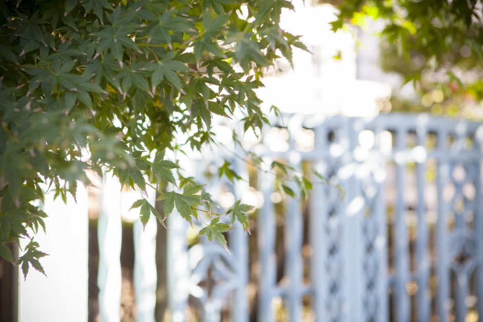 秋学期以降の各務記念材料技術研究所の行事の開催予定について