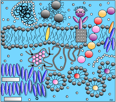 早稲田大学材料技術研究所　計算材料科学特別セミナー「ソフトマター2」 オンライン開催 12/13～3/13