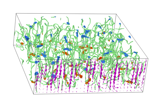 〔開催報告〕材料科学連続セミナー ソフトマター第1シリーズ「液晶の物理学」