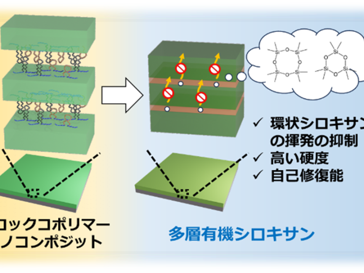 自己修復する硬いシリコーン薄膜開発