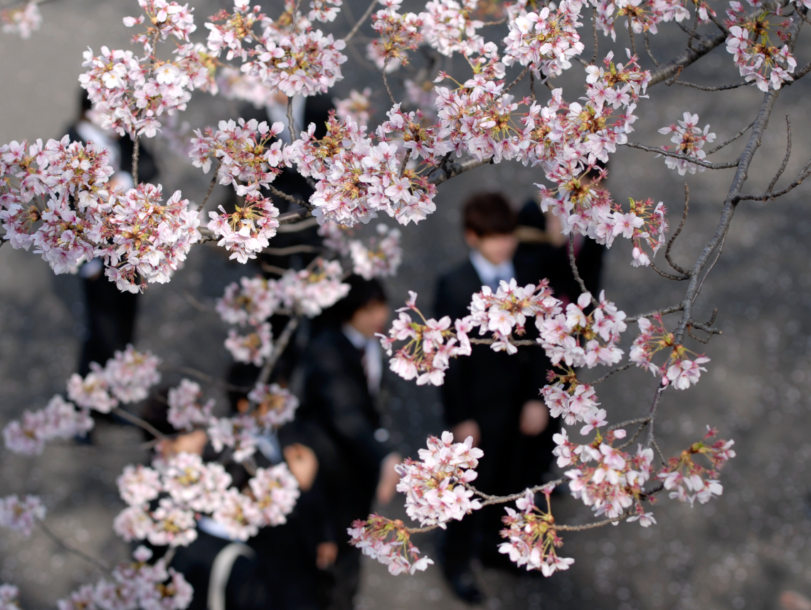 受験をお考えの方へ 早稲田大学 スポーツ科学研究科