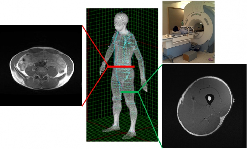 Supporting athletes from Saitama for the 2020 Tokyo Olympics