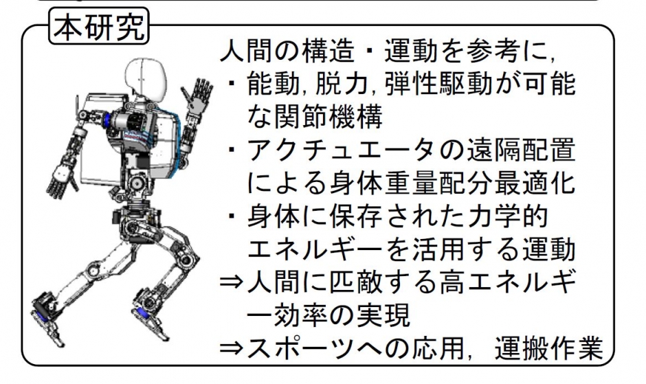 スポーツ科学学術院 川上泰雄教授の理工学術院との共同研究「人型ロボットの身体内保存力学的エネルギー活用による高効率運搬・スポーツ動作の実現」