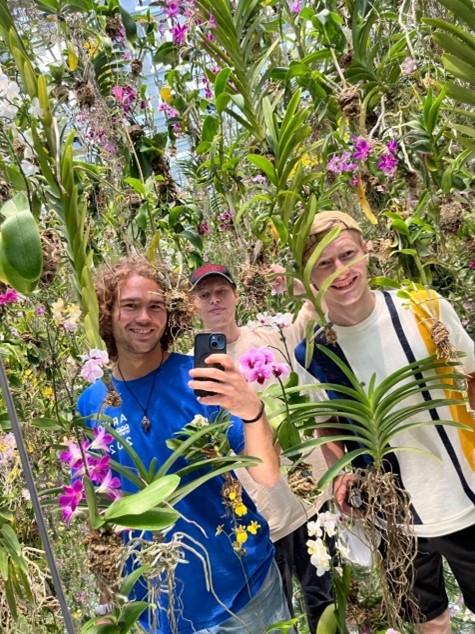 Interview with international exchange students