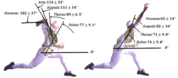 Proximal to distal sequencing impacts on maximum shoulder joint angles and the risk of impingement in baseball pitching involving a scapular independent thoracohumeral model