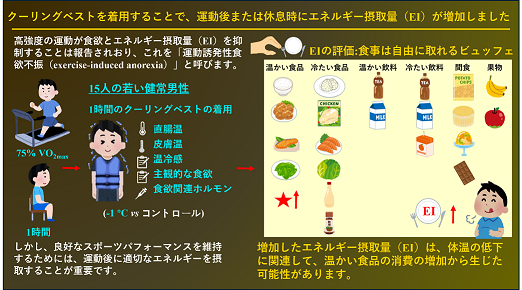アイスベストは運動後および安静時における若年男性のエネルギー摂取量を増加させる