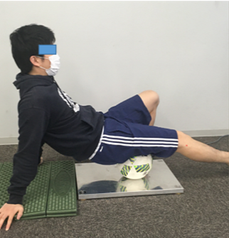 Sex and Pressure Effects of Foam Rolling on Acute Hamstring Range of Motion