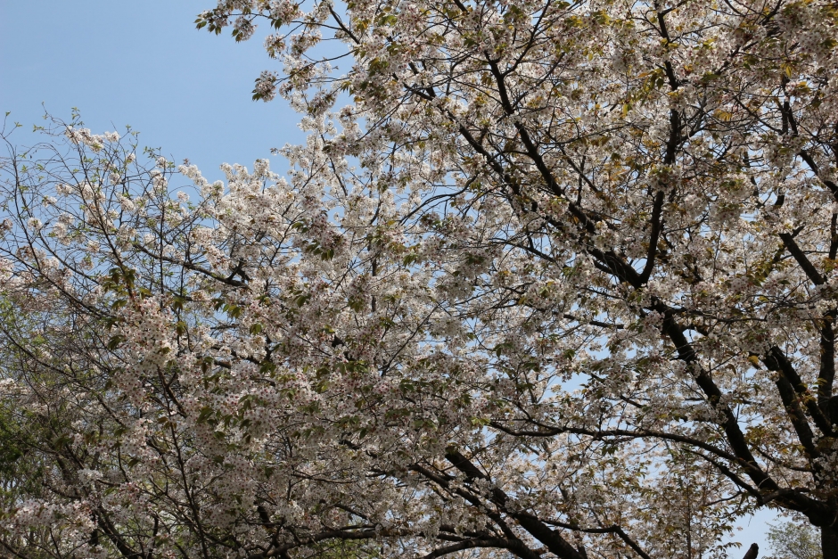 スポーツ科学学術院へ新任教員をお迎えしました。