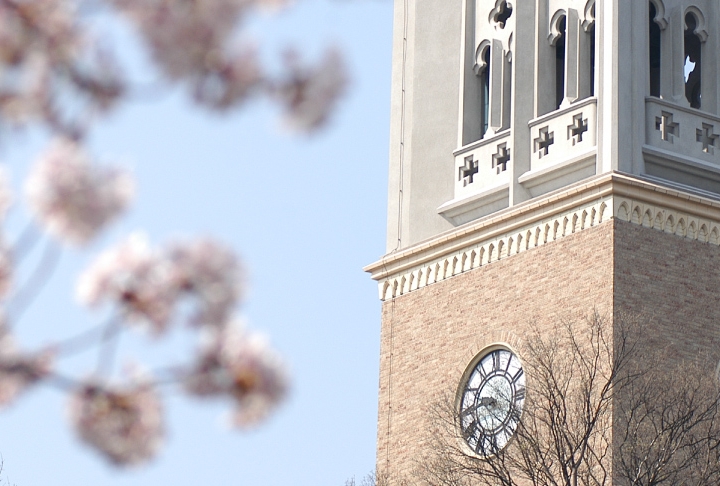 個別の入学資格審査