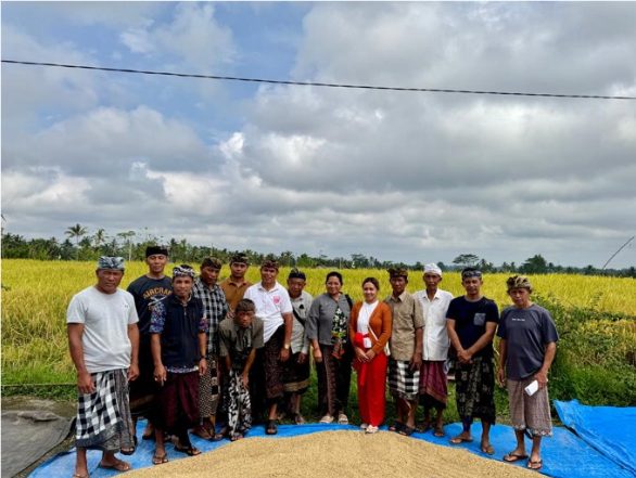 JICA草の根技術協力事業「参加型フードバリューチェーンの構築を通じた所得向上」インドネシア・バリ島現地活動報告