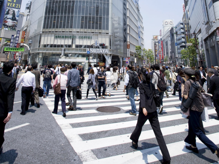 ソーシャルデザイン部門