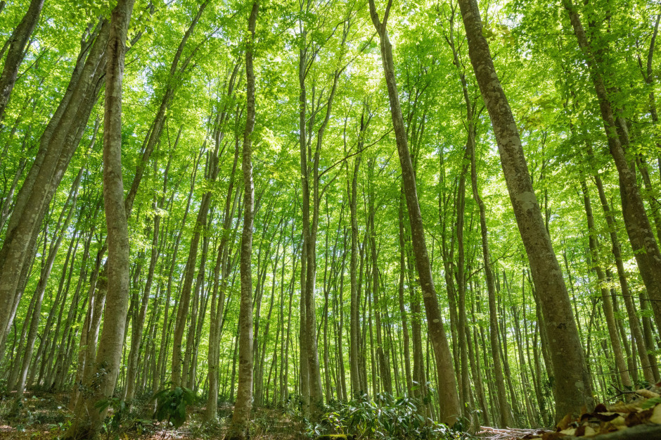 第16回カーボンニュートラル研究セミナー（12/18  藤掛一郎 教授）