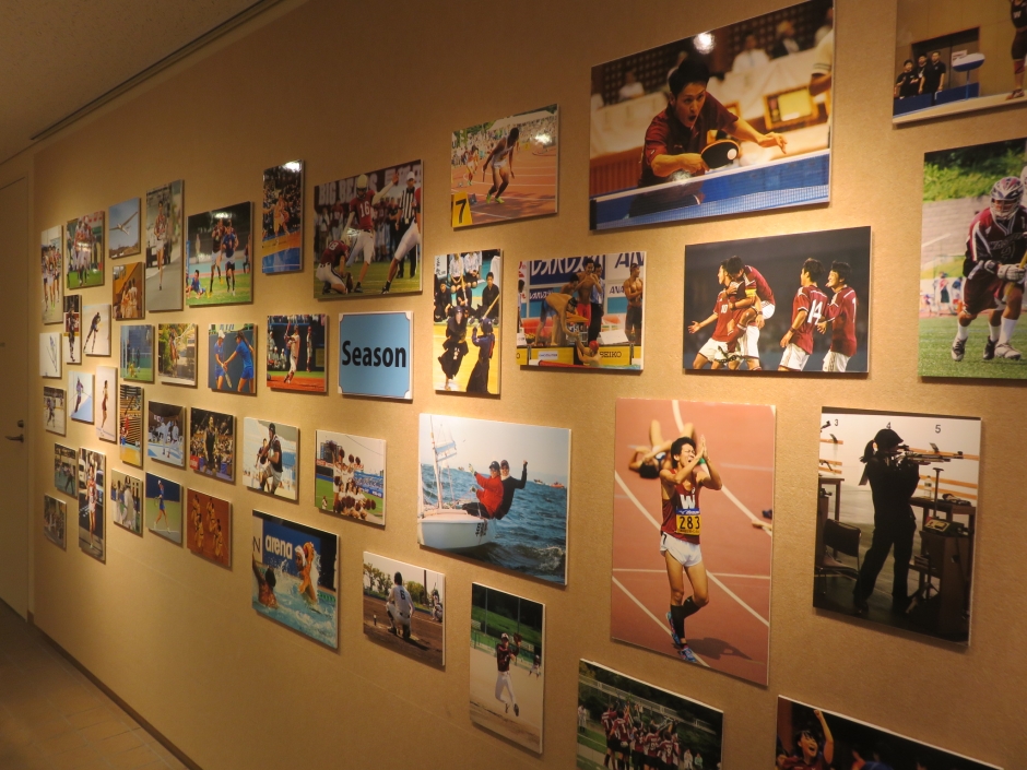 早稲田スポーツ展 仰ぐは同じき理想の光 – 早稲田大学 競技スポーツセンター