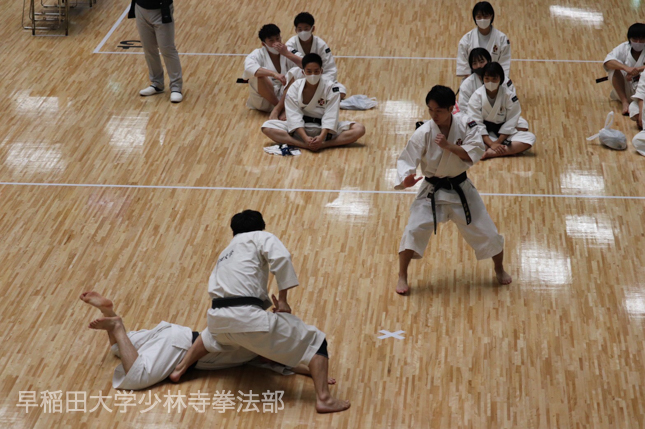 少林寺拳法部 全日本学生大会で悔いのない好試合 新体制に期待 早稲田大学 競技スポーツセンター