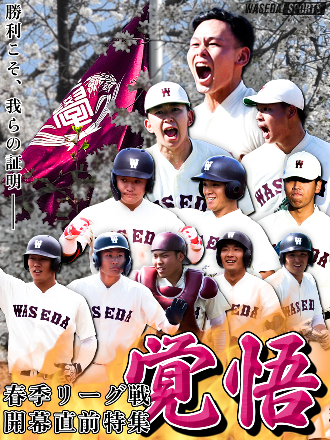 【連載】野球部 春季リーグ戦開幕直前特集『覚悟』 – 早稲田大学 競技スポーツセンター
