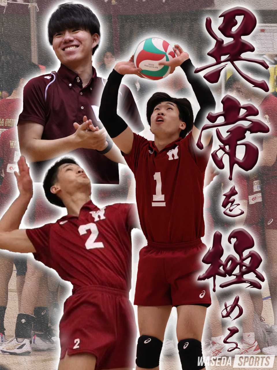 m*n様 早稲田大学 バレーボール シャツ m*n様 早稲田大学 バレーボール