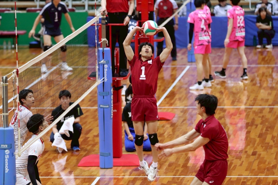 web限定アイテム 早大バレーボール部男子 ユニフォームスポンサー新規募集 ウェア